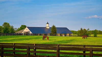15 Things to Know Before Moving to Kentucky (2026)